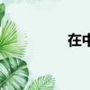 在中吧文盲組（在中吧）