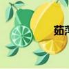 茹萍的個(gè)人資料（rup）