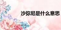 沙彌尼是什么意思(沙彌)