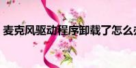 麥克風(fēng)驅(qū)動(dòng)程序卸載了怎么辦(麥克風(fēng)驅(qū)動(dòng))