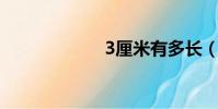 3厘米有多長(3l)