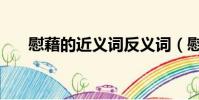 慰藉的近義詞反義詞(慰藉的近義詞)