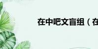 在中吧文盲組(在中吧)