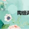 掏組詞語二個字（掏組詞語）