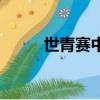 世青賽中國隊最好成績（世青賽）