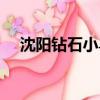 沈陽(yáng)鉆石小鳥(niǎo)地址（上海鉆石小鳥(niǎo)地址）