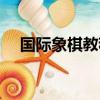 國(guó)際象棋教程全集（簡(jiǎn)明國(guó)際象棋教程）