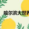 哈爾濱大世界手機(jī)卡（哈爾濱大世界手機(jī)）