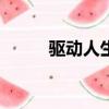 驅(qū)動(dòng)人生2018（驅(qū)動(dòng)人生2008）