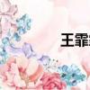 王霏霏的車(chē)（王婉霏車(chē)展）