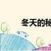 冬天的秘密 戴羽彤（冬天的秘密）
