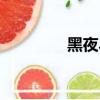 黑夜斗僵尸（夜色斗僵尸）
