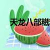 天龍八部糍粑張什么樣（天龍八部糍粑）