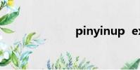 pinyinup exe
