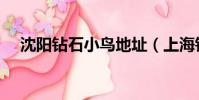 沈陽(yáng)鉆石小鳥(niǎo)地址(上海鉆石小鳥(niǎo)地址)