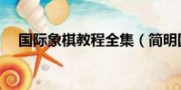 國(guó)際象棋教程全集(簡(jiǎn)明國(guó)際象棋教程)