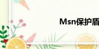 Msn保護盾