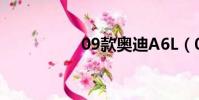 09款?yuàn)W迪A6L(09款)