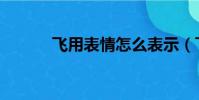 飛用表情怎么表示(飛信表情)