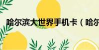 哈爾濱大世界手機(jī)卡(哈爾濱大世界手機(jī))