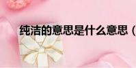 純潔的意思是什么意思(純潔的意思)
