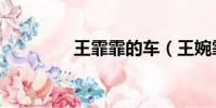 王霏霏的車(chē)(王婉霏車(chē)展)