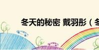 冬天的秘密 戴羽彤(冬天的秘密)