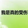 我是真的受傷了（關(guān)于我是真的受傷了簡介）