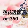 蓮花透露了Exige輕量化的另一種版本稱為Sport350