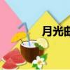 月光曲（關于月光曲的簡介）