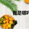 我是哪吒（關于我是哪吒的簡介）