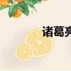 諸葛亮（關(guān)于諸葛亮的簡介）