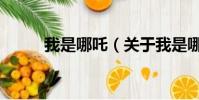 我是哪吒(關于我是哪吒的簡介)