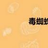 毒蜘蛛（關(guān)于毒蜘蛛的簡(jiǎn)介）