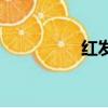 紅發(fā)（關于紅發(fā)的簡介）