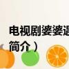 電視劇婆婆遇見(jiàn)媽?zhuān)P(guān)于電視劇婆婆遇見(jiàn)媽的簡(jiǎn)介）