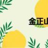 金正山（關于金正山的簡介）