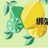 綁架（關(guān)于綁架的簡(jiǎn)介）