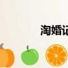 淘婚記（關于淘婚記的簡介）