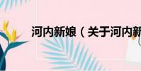 河內(nèi)新娘(關(guān)于河內(nèi)新娘的簡(jiǎn)介)