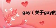 gay(關于gay的簡介)