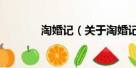 淘婚記(關于淘婚記的簡介)