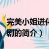 完美小姐進化論日?。P(guān)于完美小姐進化論日劇的簡介）