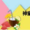 神童（關(guān)于神童的簡介）