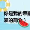 你是我的榮耀演員表（關(guān)于你是我的榮耀演員表的簡介）