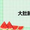大肚腩（關于大肚腩的簡介）
