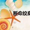 斷命紋身（關(guān)于斷命紋身的簡(jiǎn)介）
