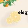 elegy（關于elegy的簡介）