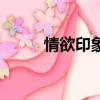 情欲印象（關(guān)于情欲印象的簡介）
