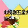 電視劇五星大飯店（關(guān)于電視劇五星大飯店的簡介）